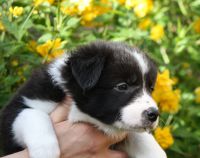 IMG_0486 50